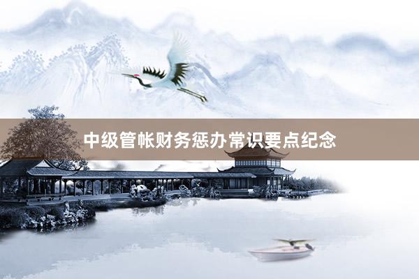 中级管帐财务惩办常识要点纪念
