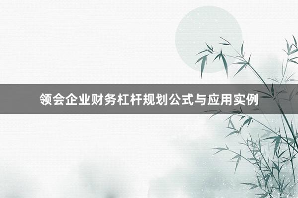 领会企业财务杠杆规划公式与应用实例