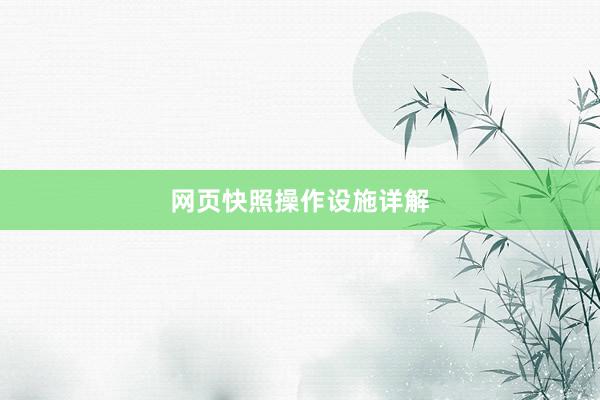 网页快照操作设施详解